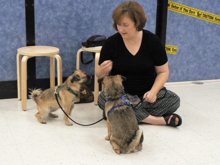 Why These 8 Dogs Keep Failing Obedience School