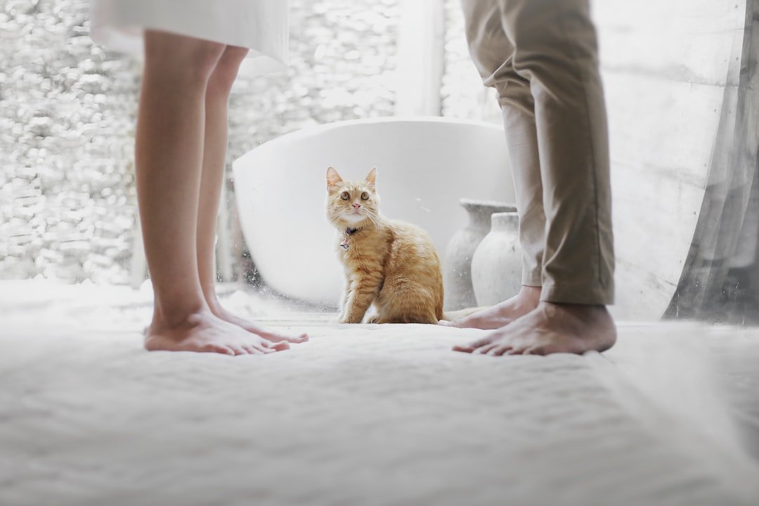 Following You to the Bathroom Is Actually Sweet Devotion (image credits: unsplash)