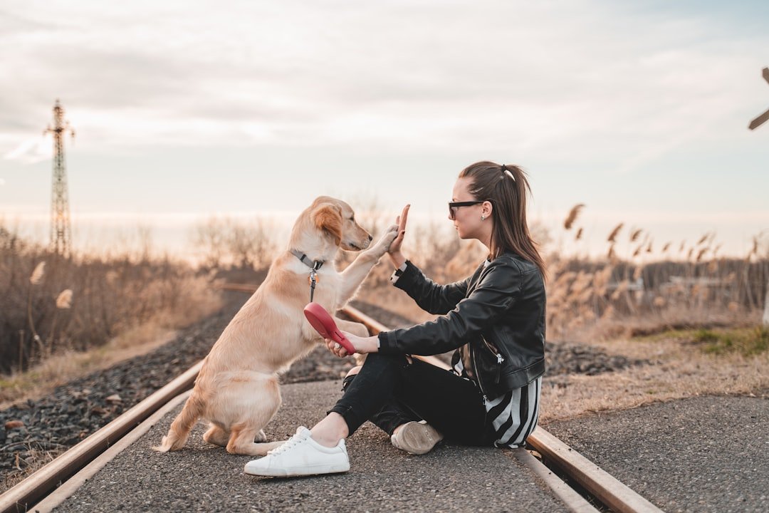 You're Their Go-To for Everything Important (image credits: unsplash)