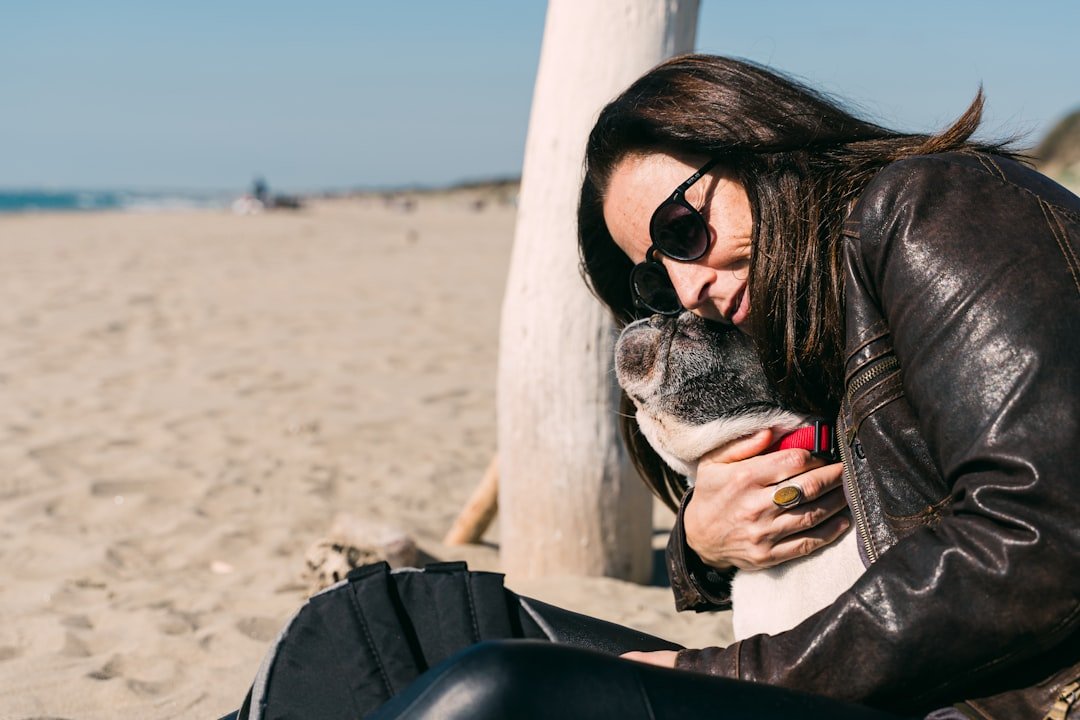 French Bulldog: The Couch Potato Champion (image credits: unsplash)