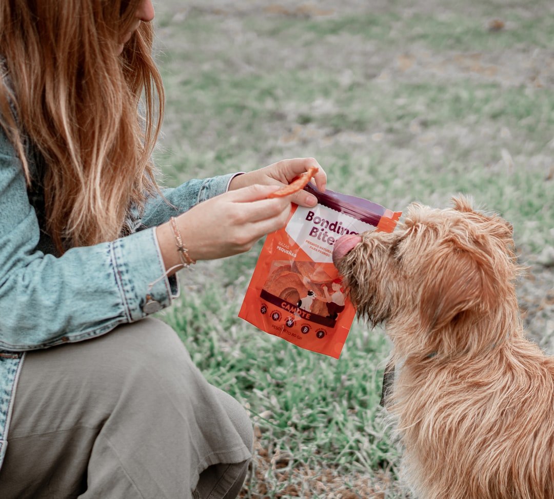 Understanding the Science Behind Positive Reinforcement (image credits: unsplash)