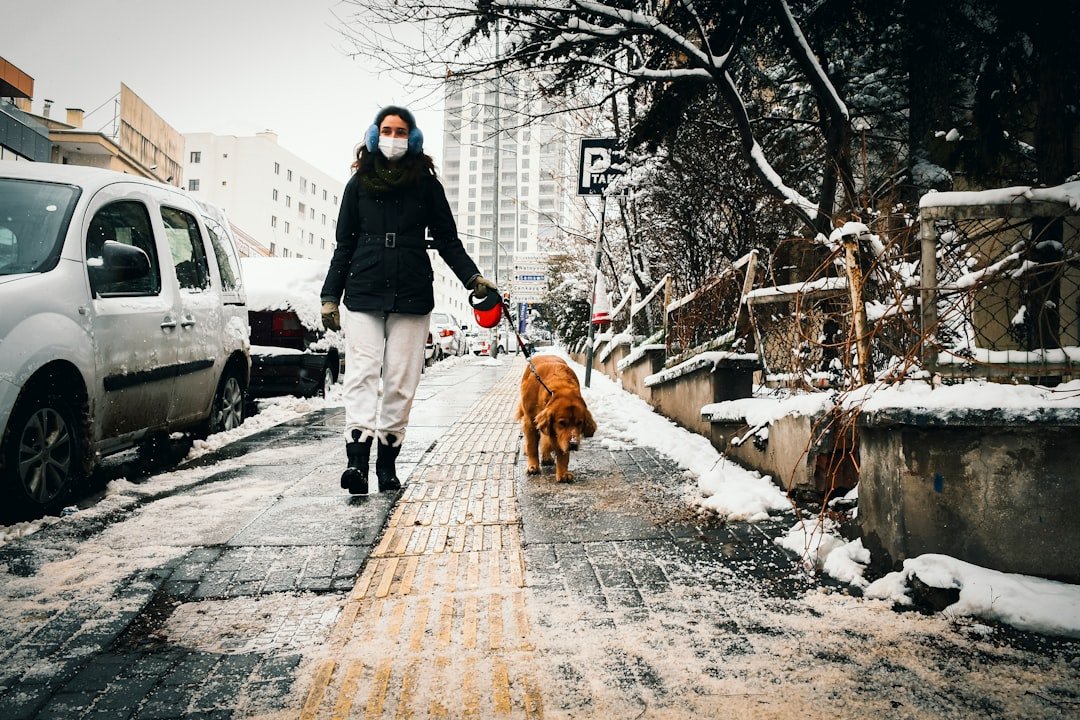 Creating Consistency That Builds Security (image credits: unsplash)