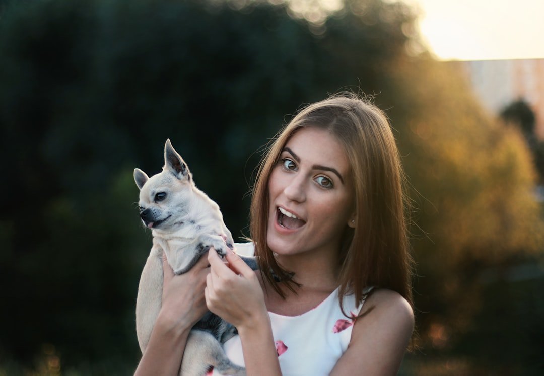 Reading Your Dog's Body Language and Respecting Boundaries (image credits: unsplash)