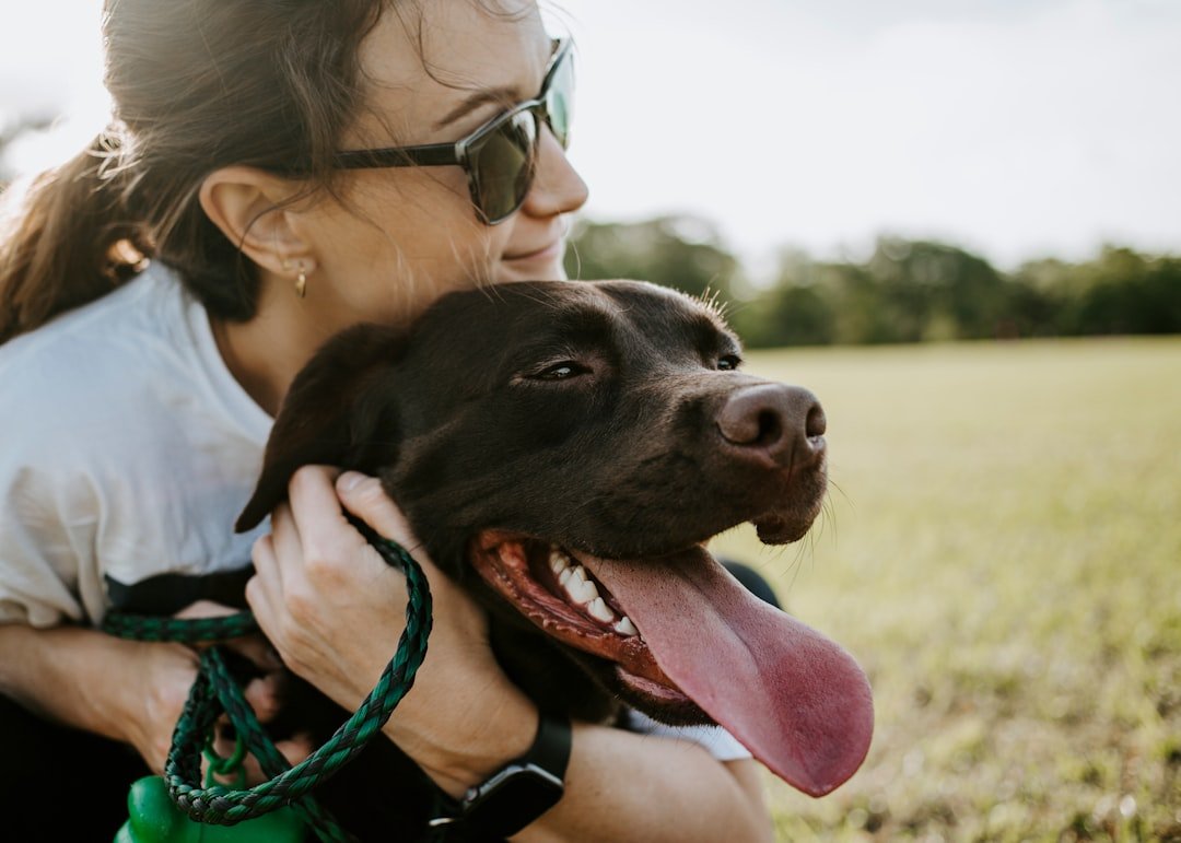 Building Trust Through Consistency (image credits: unsplash)