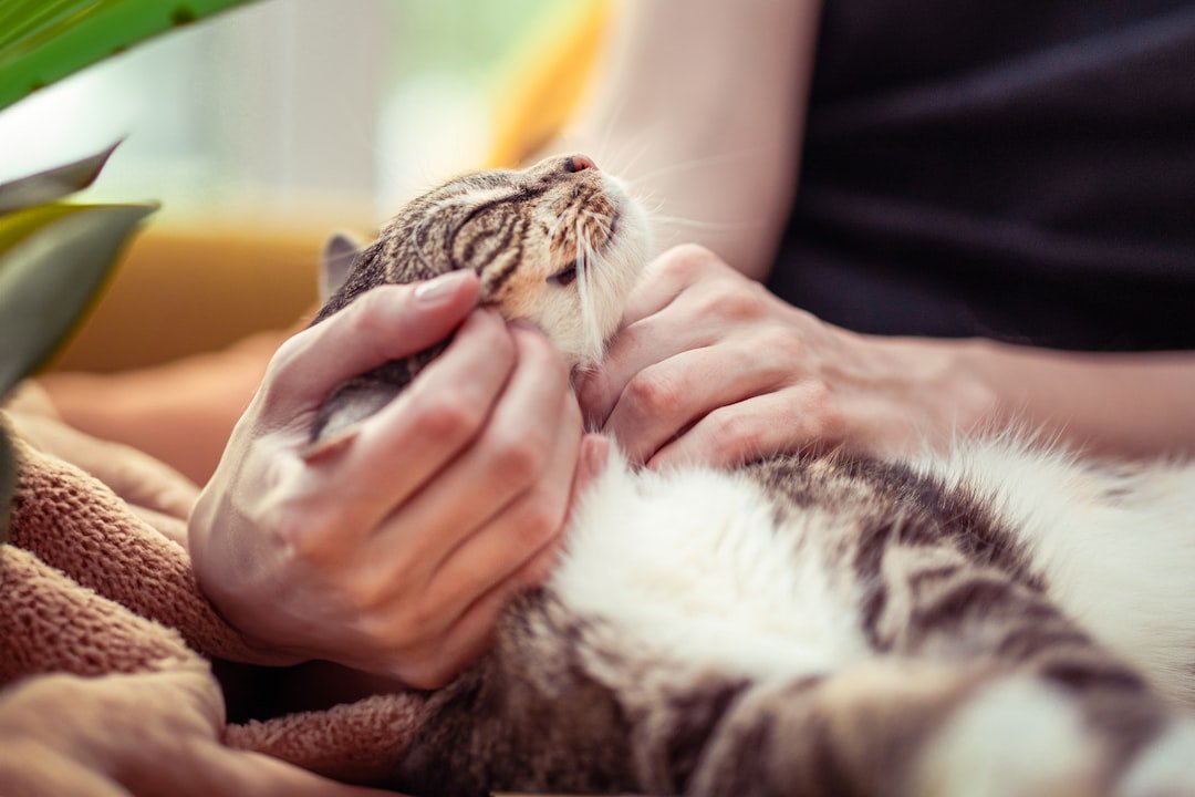 Understanding the Science Behind Feline Trust (image credits: unsplash)