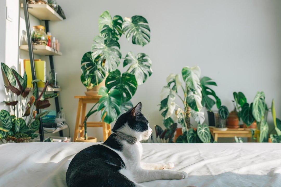 The Power of Respecting Personal Space (image credits: unsplash)