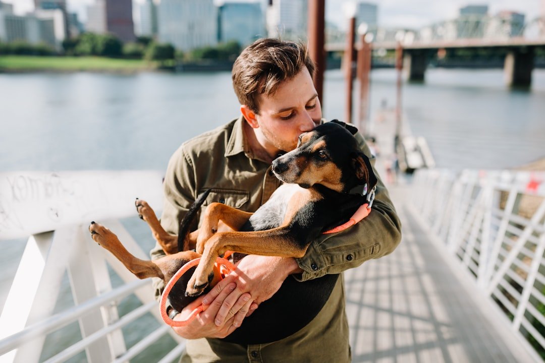 They Seek Out Physical Contact and Affection (image credits: unsplash)