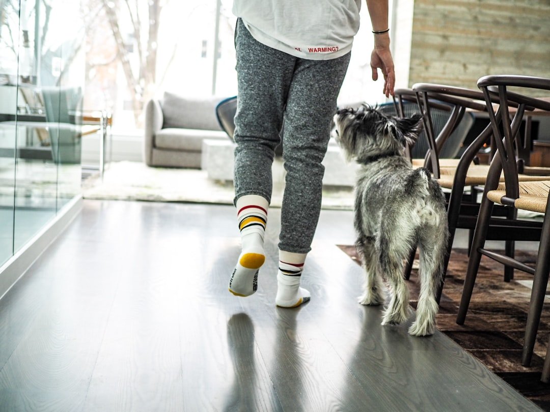 They Develop Routine Preferences and Habits (image credits: unsplash)
