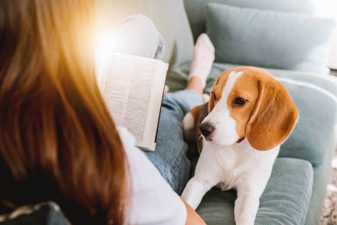 House Training Feels Like an Eternal Battle (image credits: unsplash)