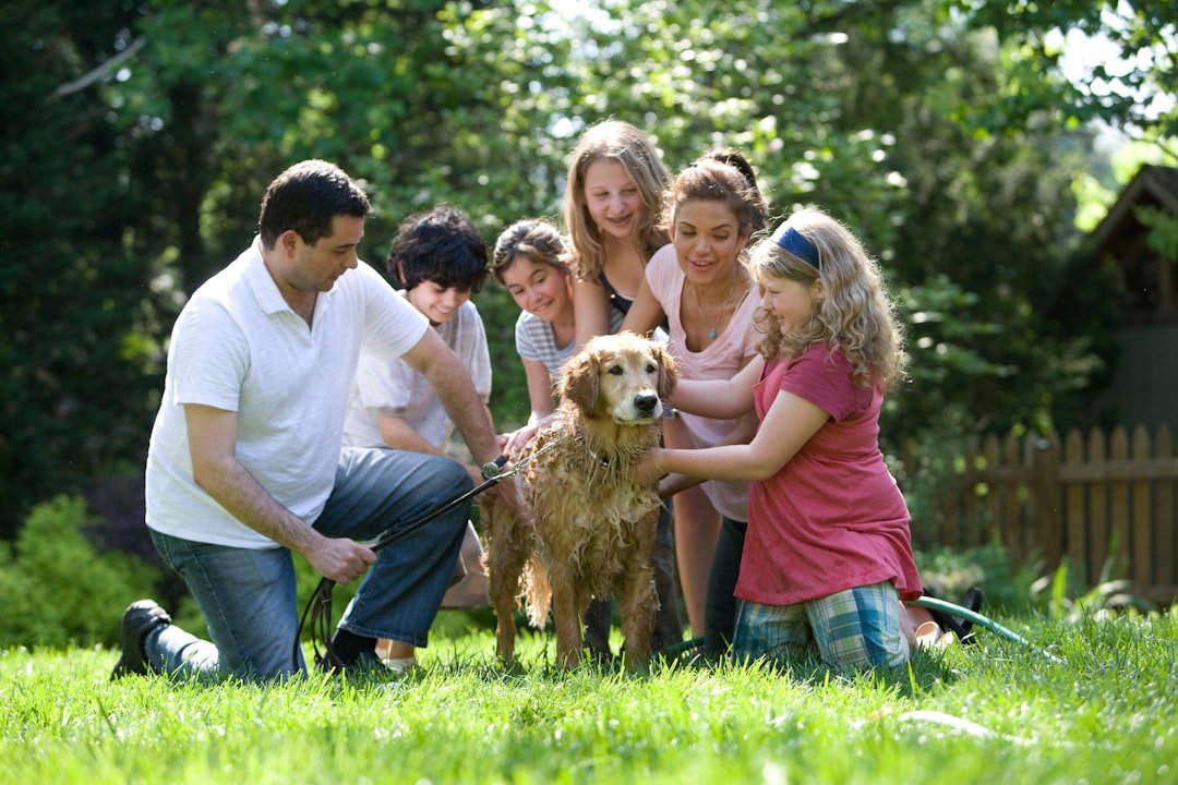 The Golden Standard: Golden Retriever (image credits: unsplash)