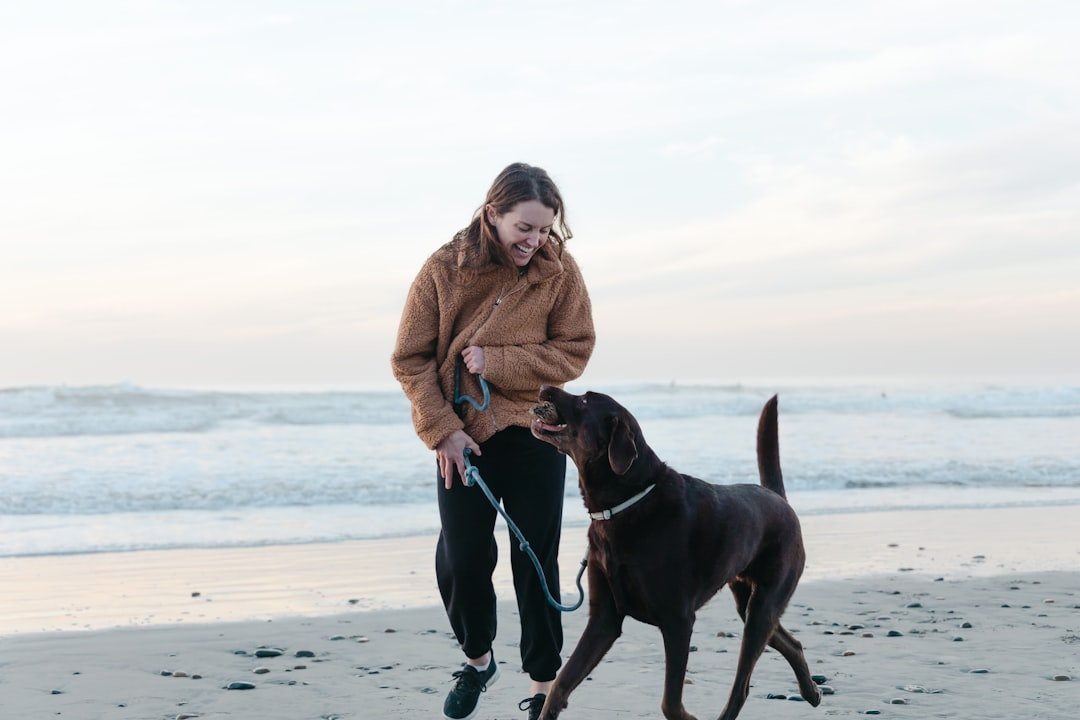 Labrador Retriever - The People-Pleasing Athlete (image credits: unsplash)