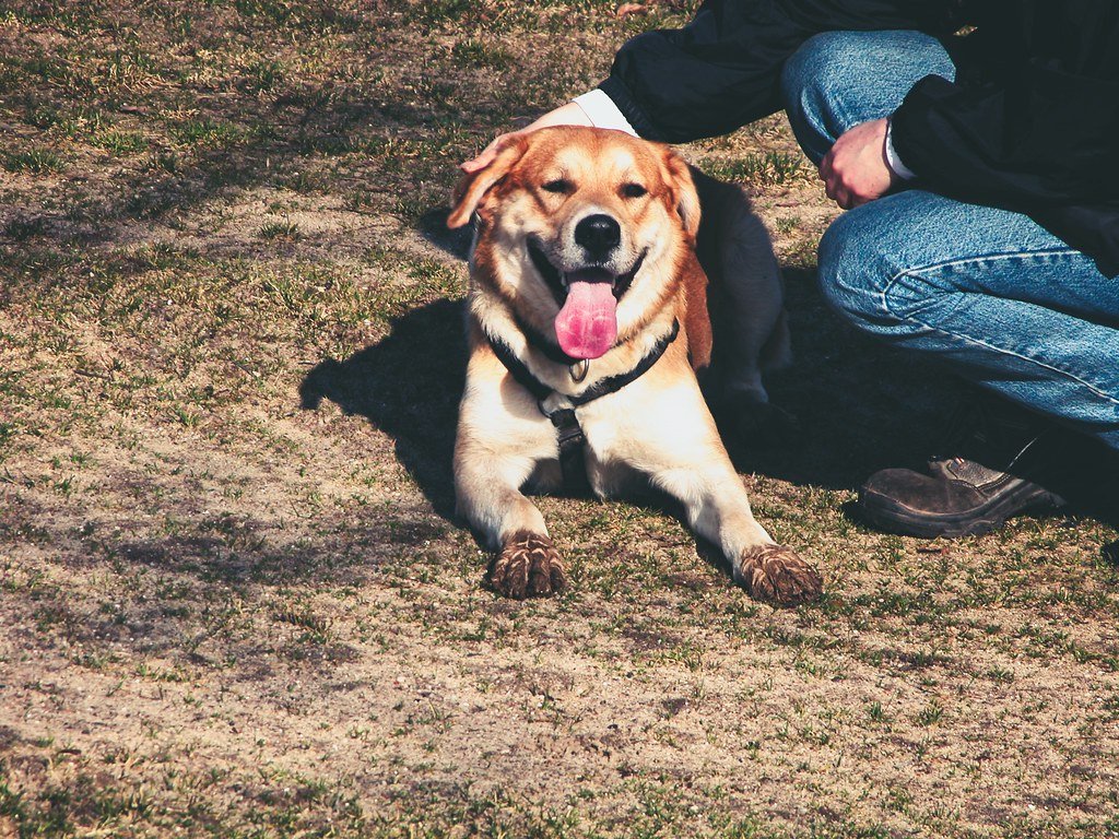 Built-in Purpose and Routine (image credits: flickr)