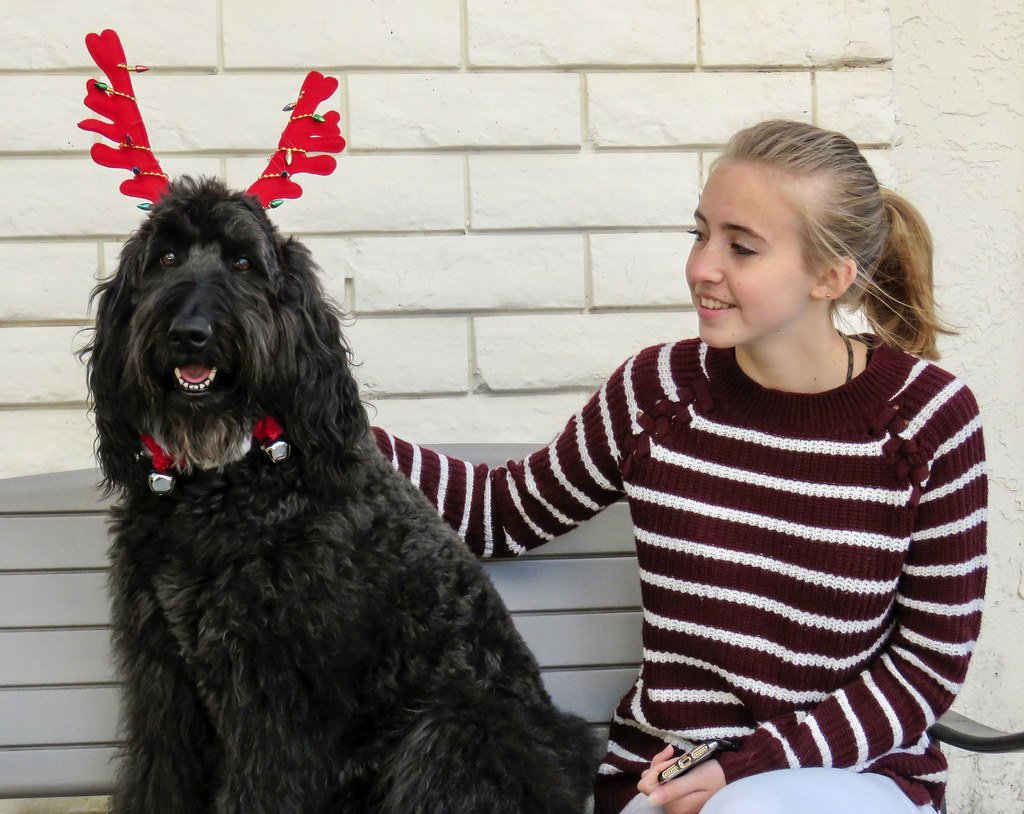 10 Reasons Why Dog Owners Are The Happiest People