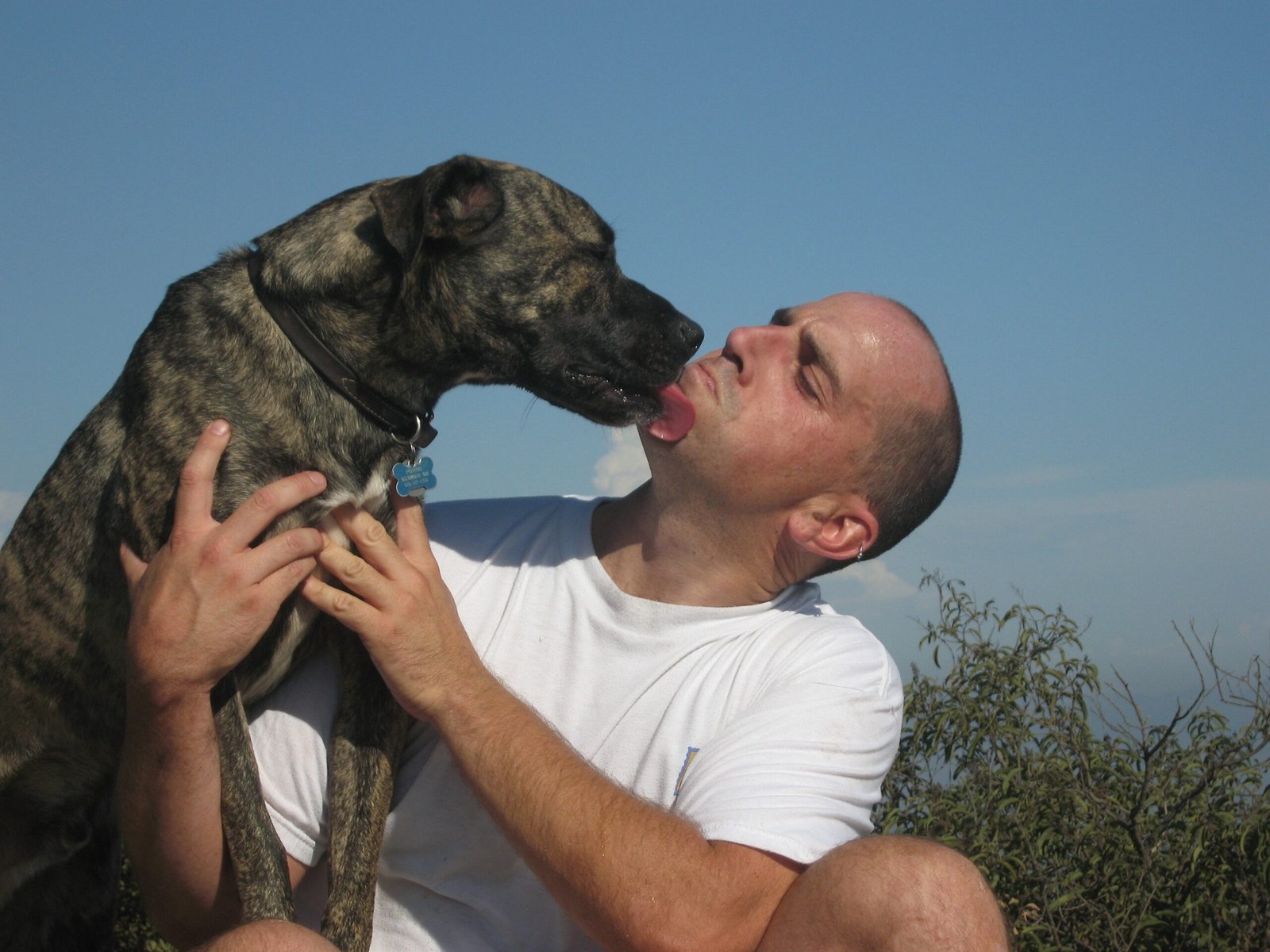 Conclusion: Finding Your Perfect Match (image credits: wikimedia)