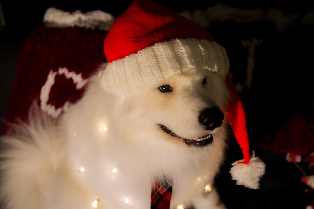 Samoyeds: The Smiling Clouds (image credits: unsplash)