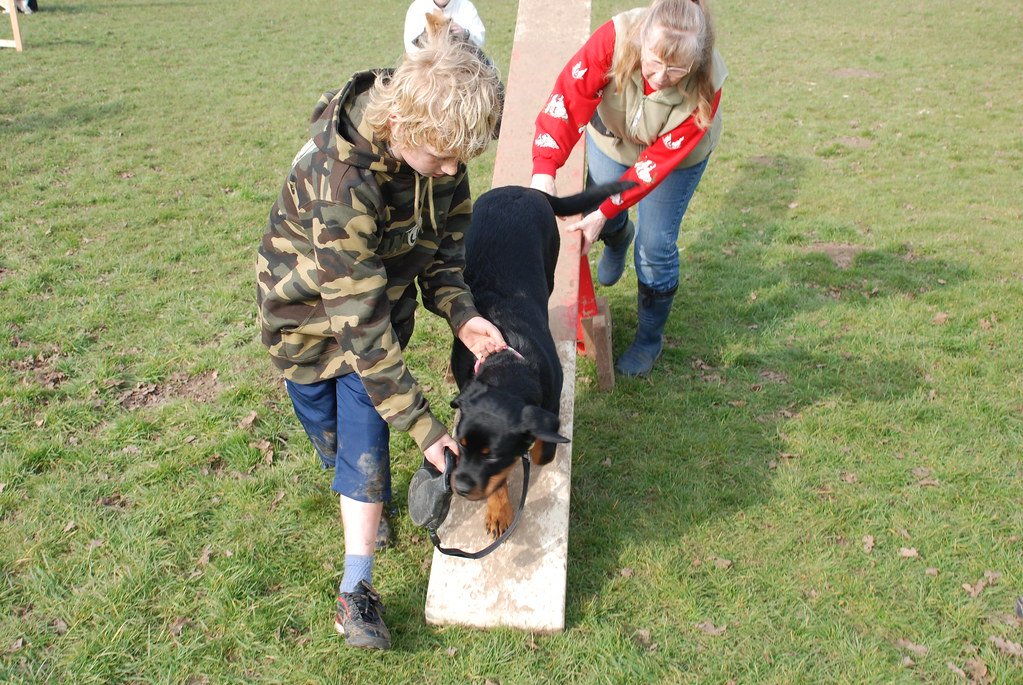 Training Methods That Actually Work (image credits: flickr)