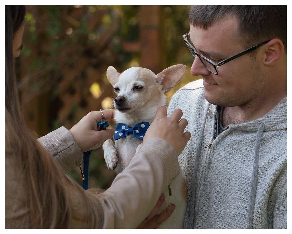 Conclusion (image credits: flickr)