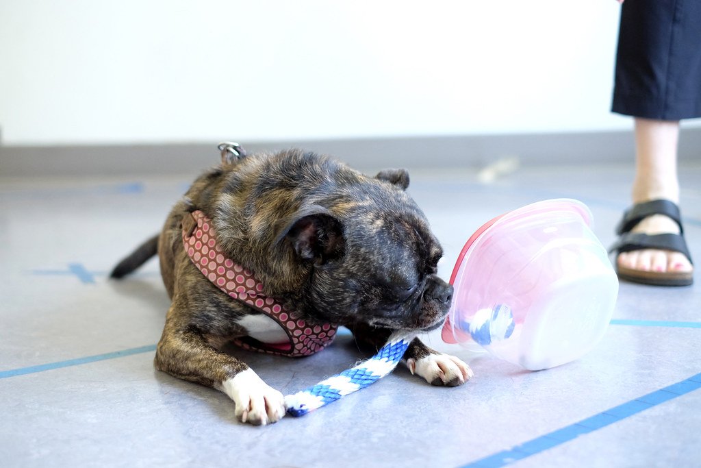 Food-Based Entertainment Solutions (image credits: flickr)