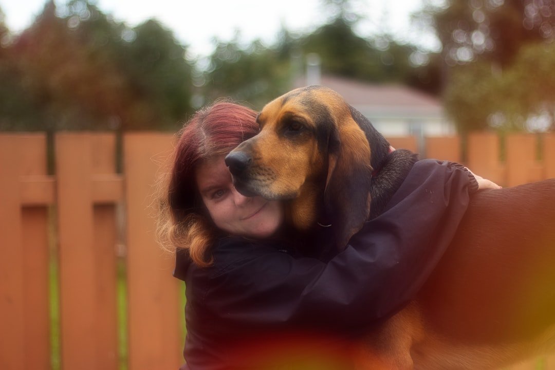 Hugging Too Tight – Your Dog's Silent Stress Signal (image credits: unsplash)