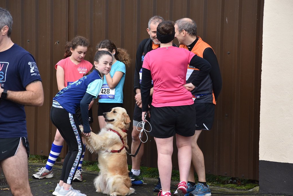 Daily Praise for the Little Things (image credits: flickr)