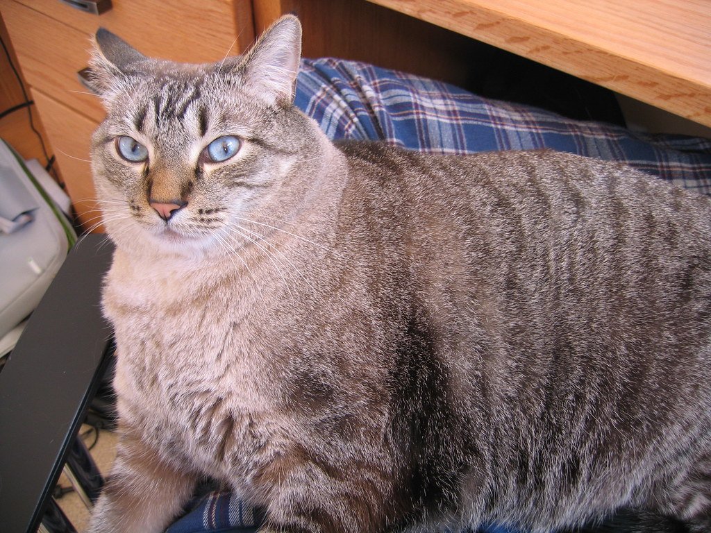 Conclusion (image credits: flickr)