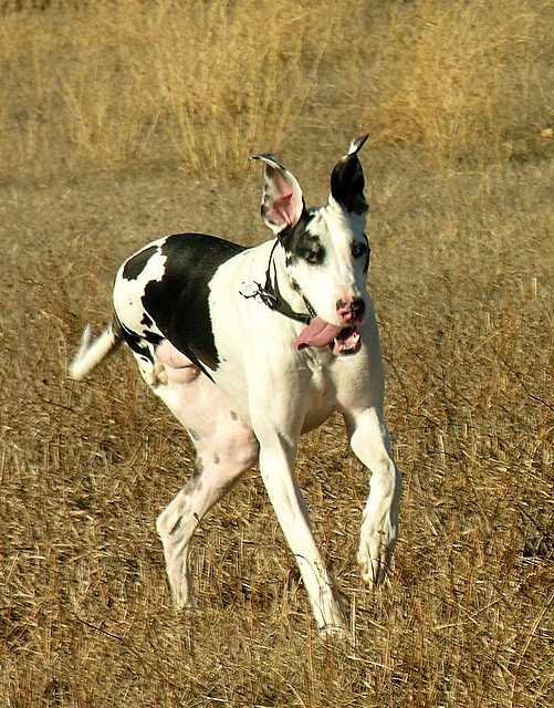 The Stress Connection Isn't What You'd Expect (image credits: flickr)