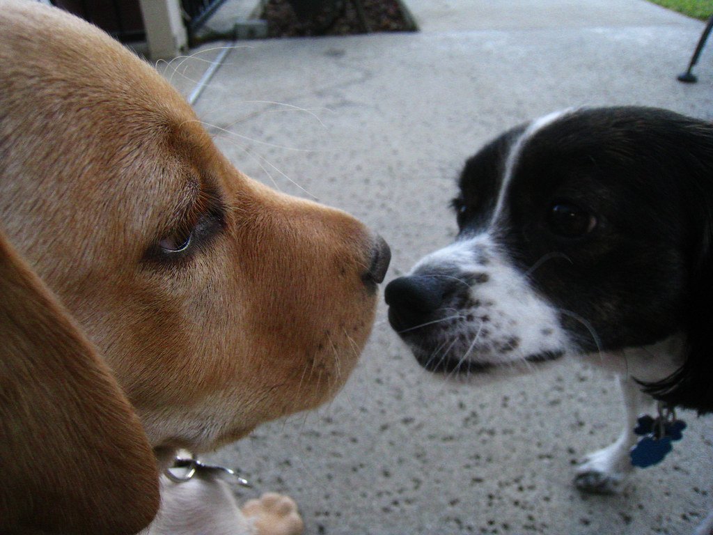 Avoid Introducing Big Changes Without Preparation (image credits: flickr)