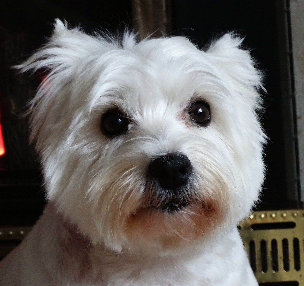 When Aging Actually Begins (It's Not What You Think) (image credits: flickr)