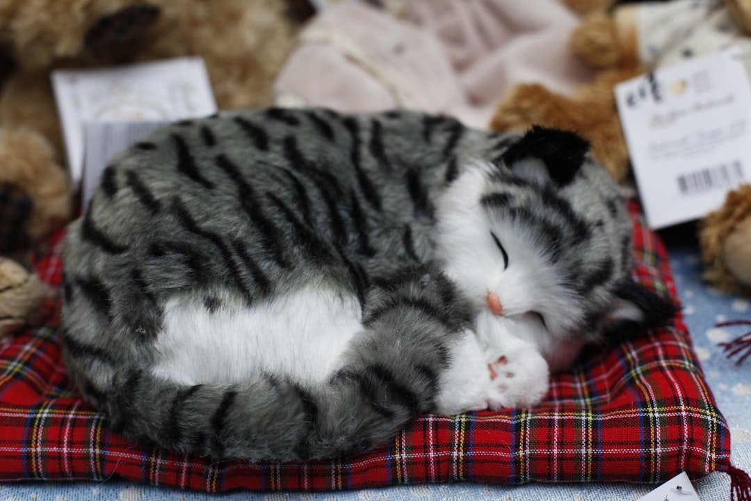 The Silent Tail Tuck (image credits: unsplash)