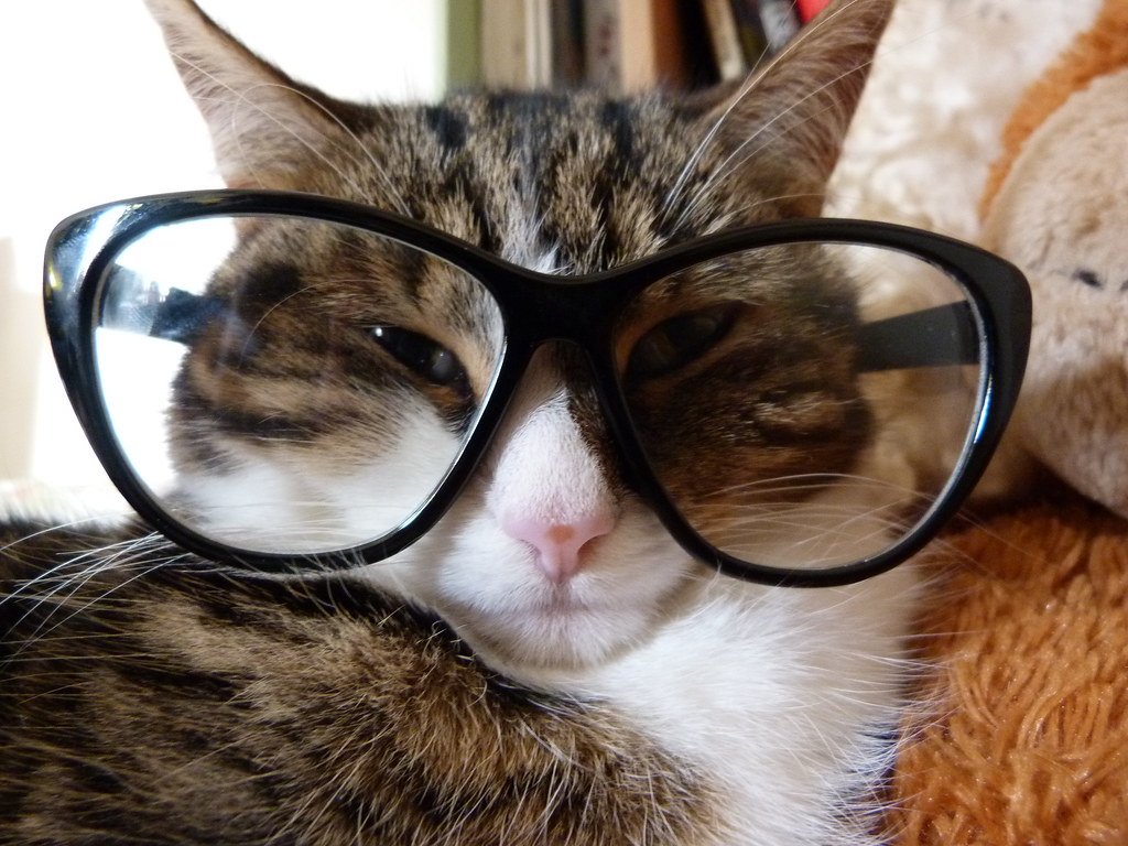 Conclusion: Trust Your Instincts (image credits: flickr)