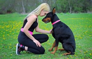 What Owning a Doberman Says About Your Personality
