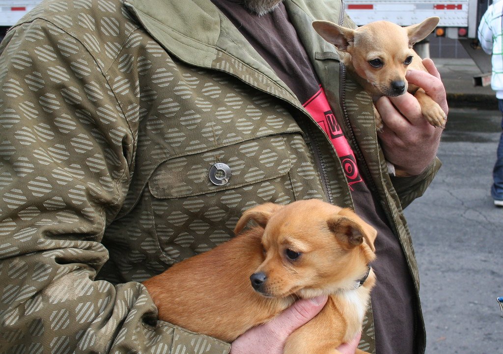 The Overtired Meltdown Zone (image credits: flickr)