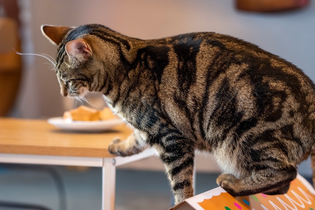 Boredom Creates Little Tornadoes (image credits: unsplash)