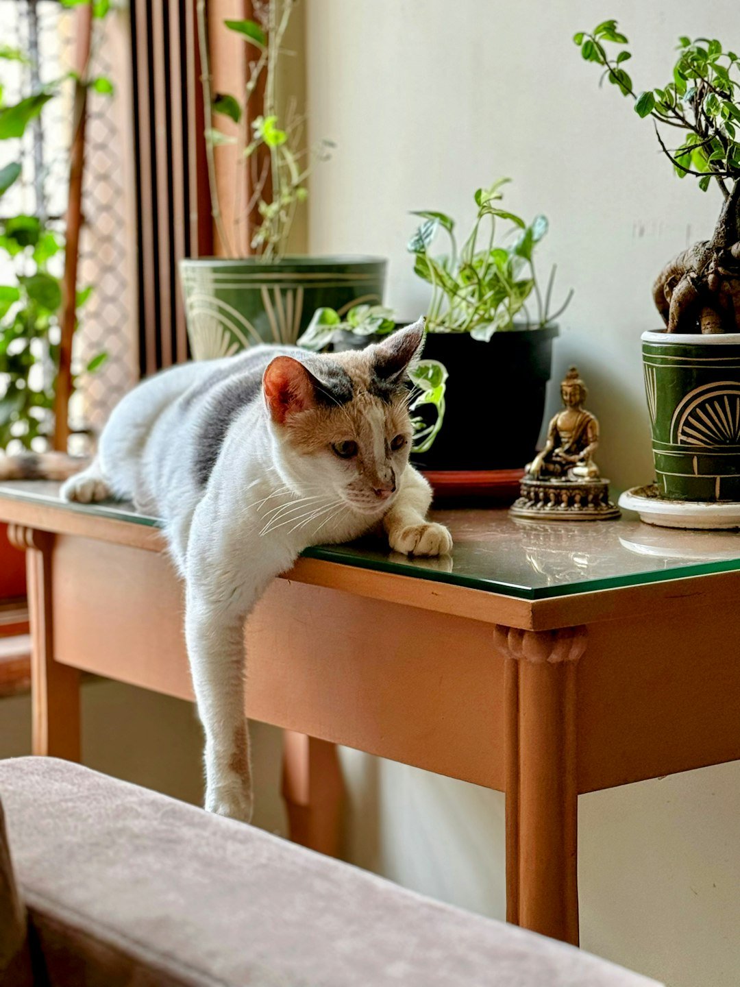 Exploring Their Territory Like Tiny Detectives (image credits: unsplash)