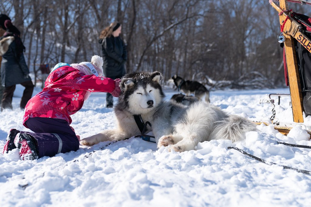 Conclusion: Are You Really Ready for This Adventure? (image credits: flickr)