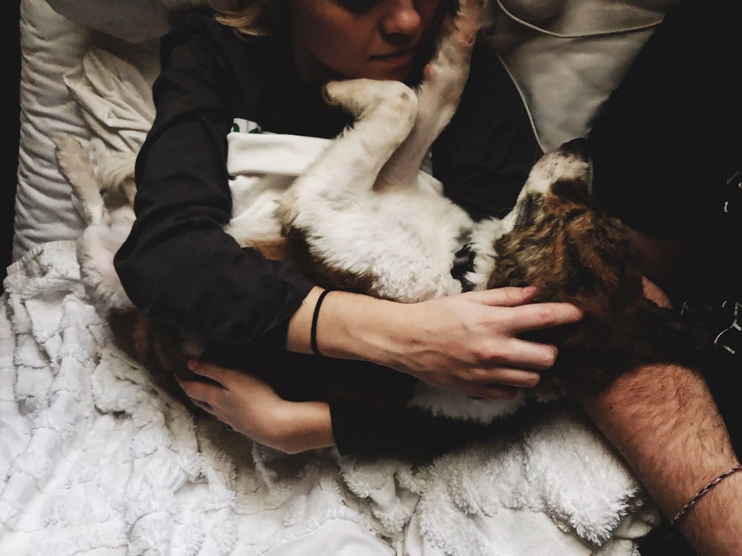 Cuddling Like Their Life Depends on It (image credits: unsplash)