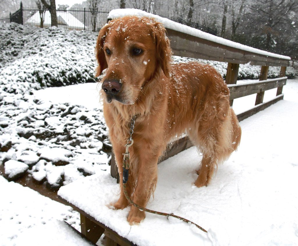 Hope and Healing for the Future (image credits: flickr)