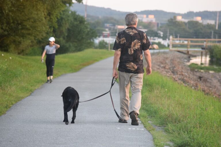 Top Dogs for Seniors Living in Florida's Retirement Communities