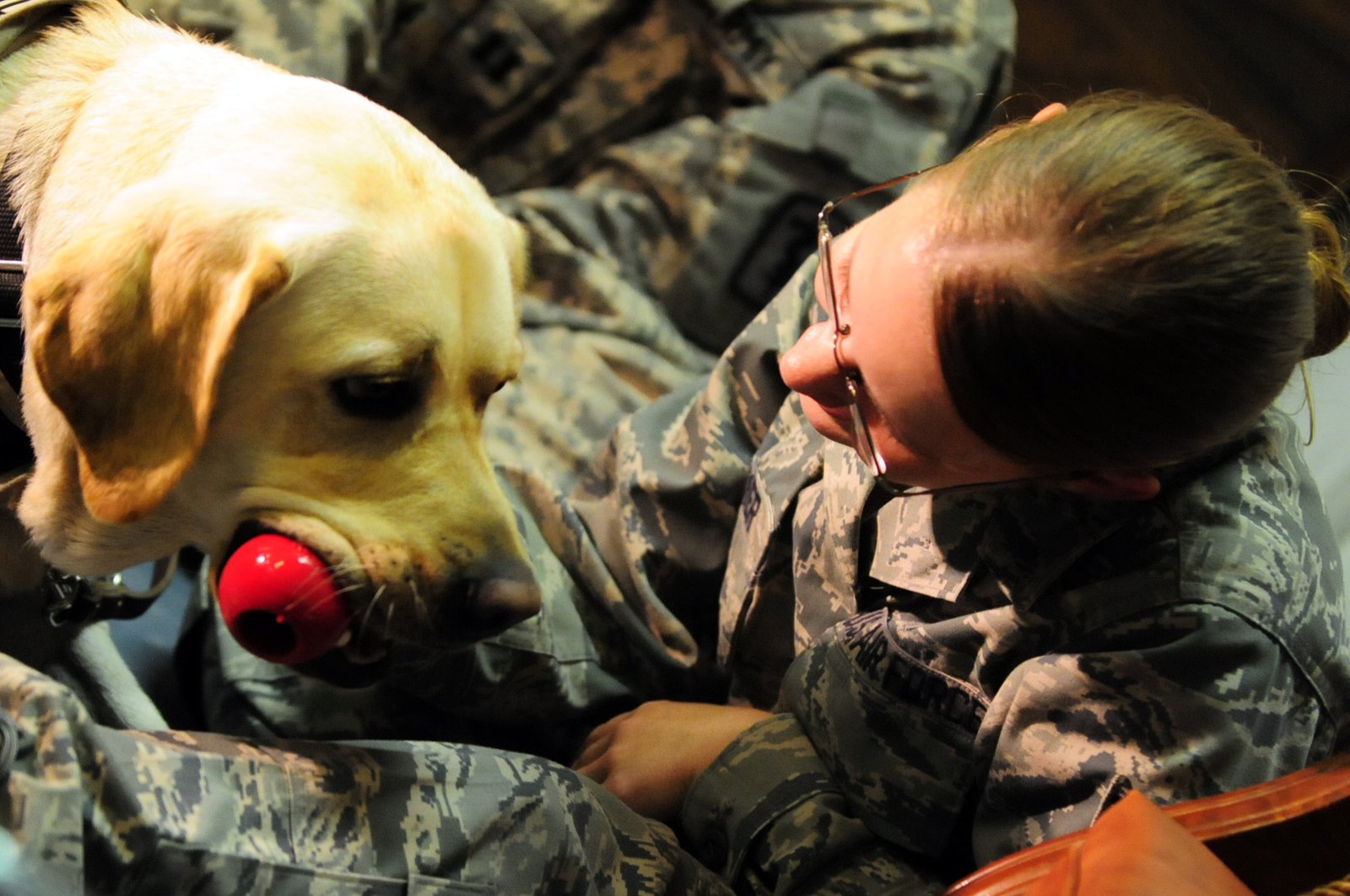 Remembering Their Favorite Toy (image credits: wikimedia)