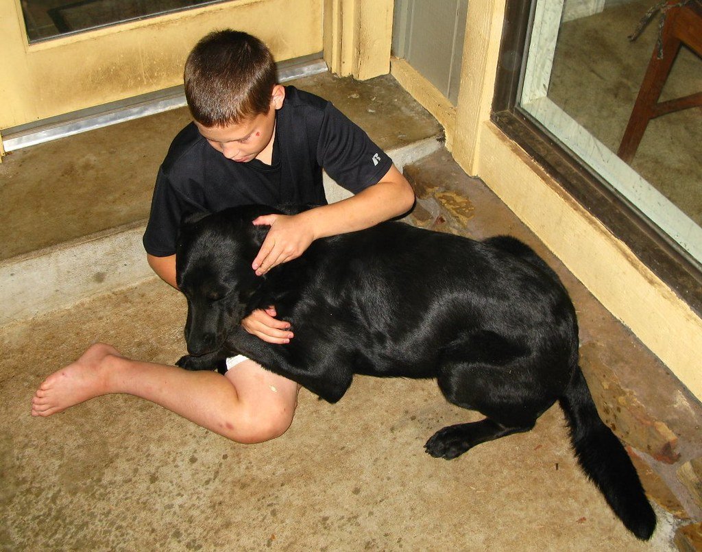 Protecting Them When They're Scared (image credits: flickr)