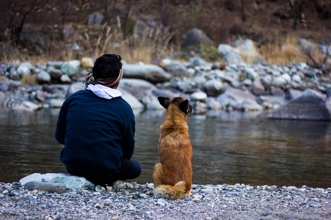The Beauty of Silent Companionship (image credits: unsplash)