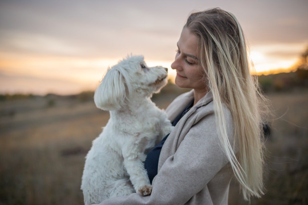 Loyal Companions: Well-Trained Dogs (image credits: unsplash)