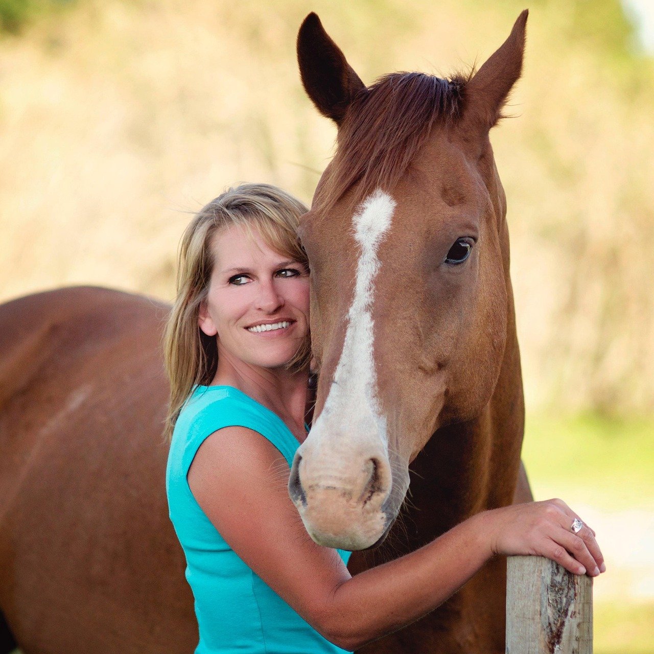 Health and Veterinary Care Considerations (image credits: pixabay)