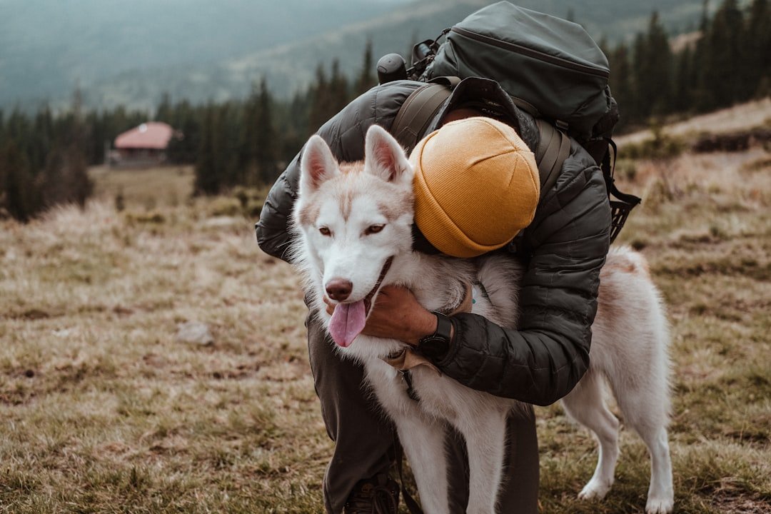 You're Built for Adventure and Crave the Great Outdoors (image credits: unsplash)