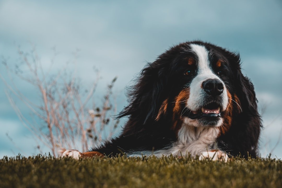 You Value Deep, Meaningful Relationships Over Surface Connections (image credits: unsplash)