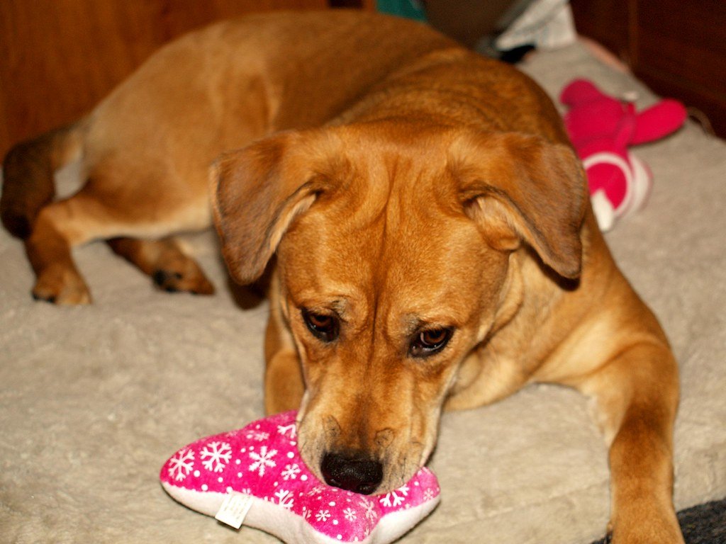 The Three Month Rule Will Test Your Patience (image credits: flickr)