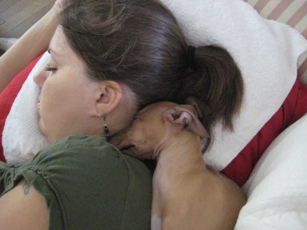 Is it Ok to Let a Puppy Sleep in Your Bed Says About You