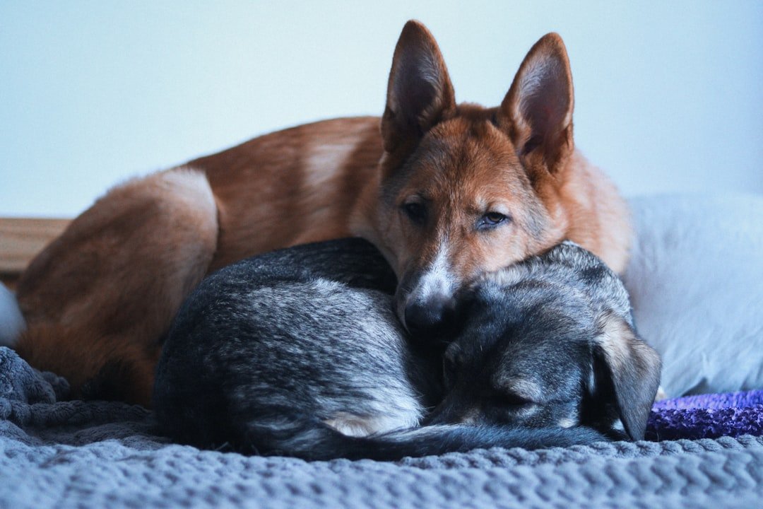 Creating Harmony Through Understanding (image credits: unsplash)