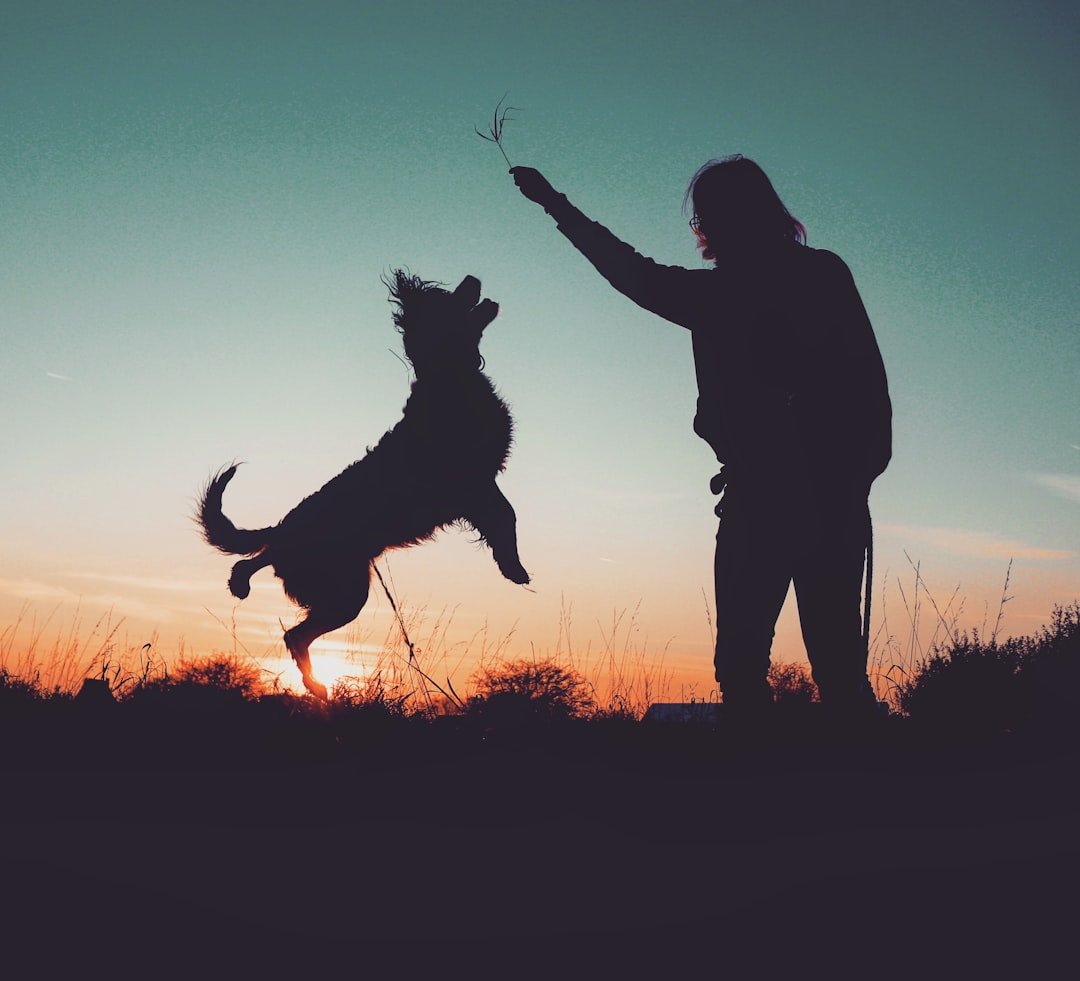 Conclusion: Written in the Stars or Written in Love? (image credits: unsplash)