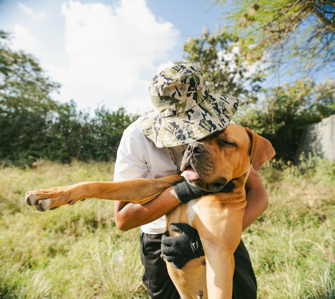 Scorpio Dogs: The Mysterious Loyal Guardians (image credits: unsplash)